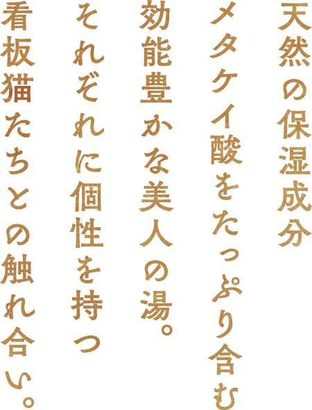 天然の保湿成分メタケイ酸をたっぷり含む効能豊かな美人の湯。それぞれに個性を持つ看板猫たちとの触れ合い。