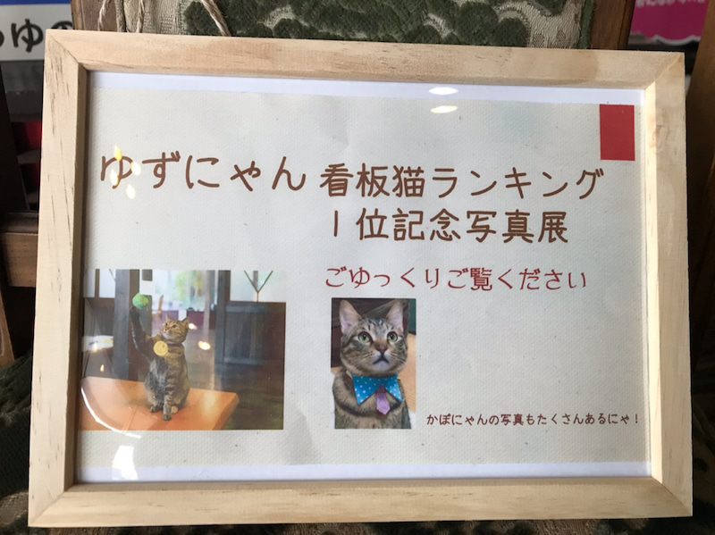 ゆずにゃん看板猫ランキング一位記念写真展