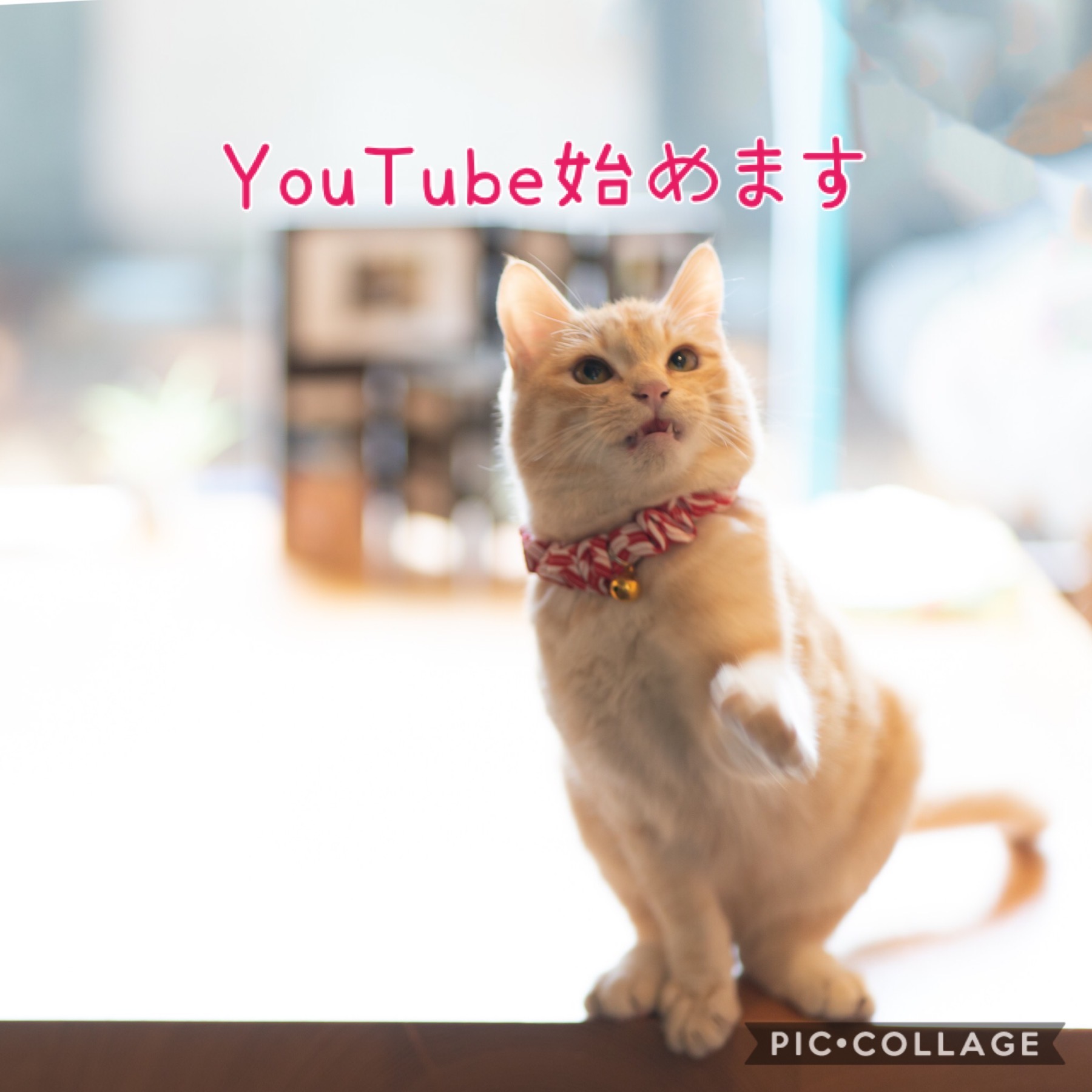 YouTube始めます！