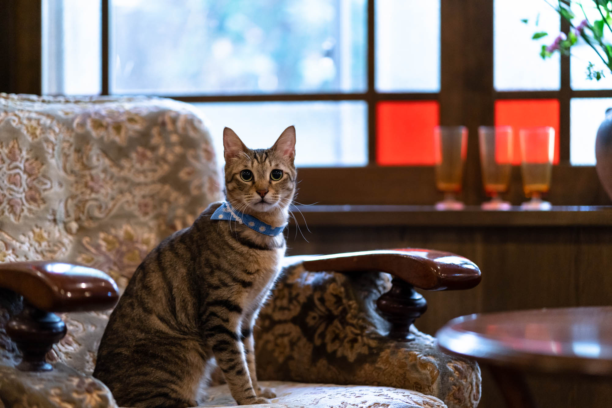 ゆの香新館　小学生以下のお子さまのご宿泊人数制限について