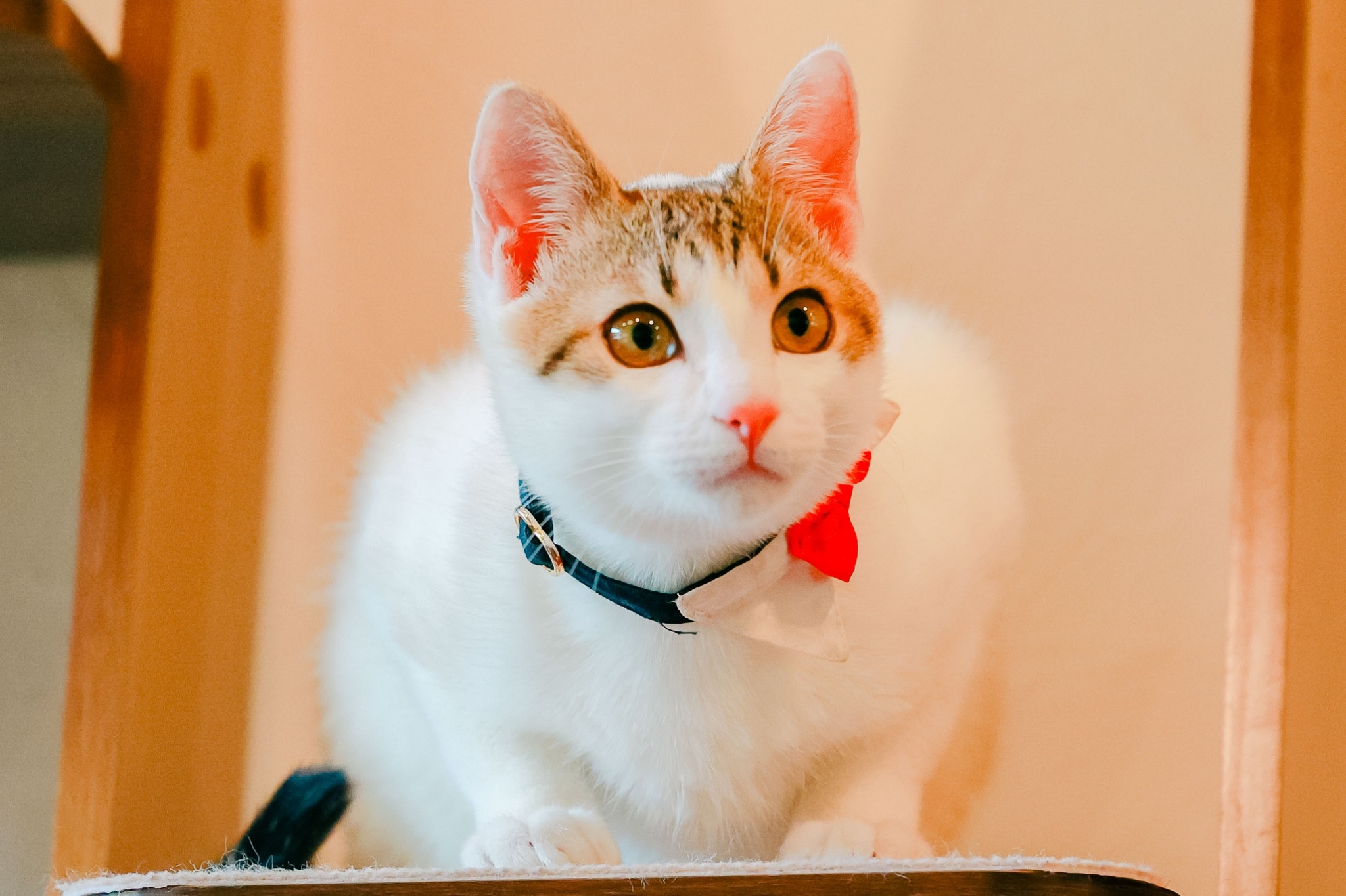 ゆの香新館　小学生以下のお子さまのご宿泊人数制限について