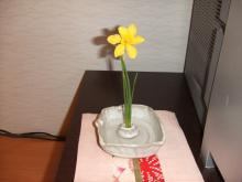 小さな水仙
