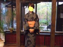 黒地に菊