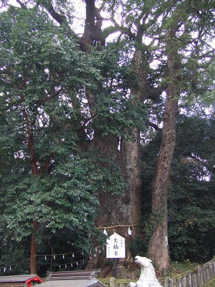 新米女将のゆの香日記-朝見神社3