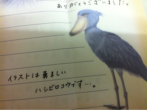 photo:01